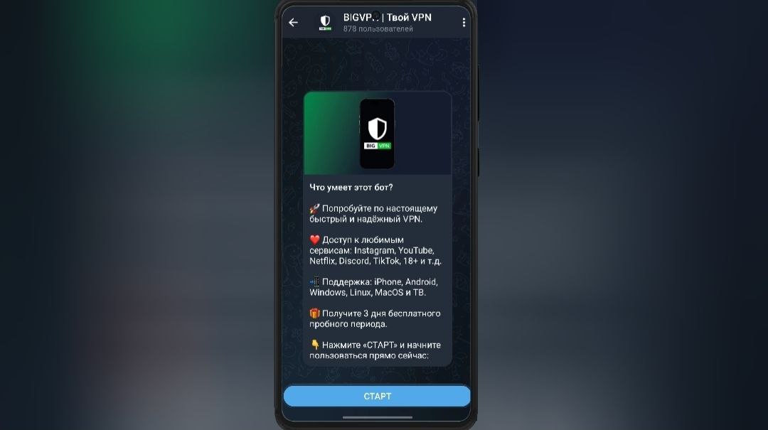 Бот BIGVPN