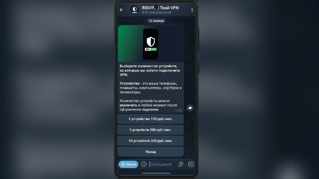 Бот BIGVPN