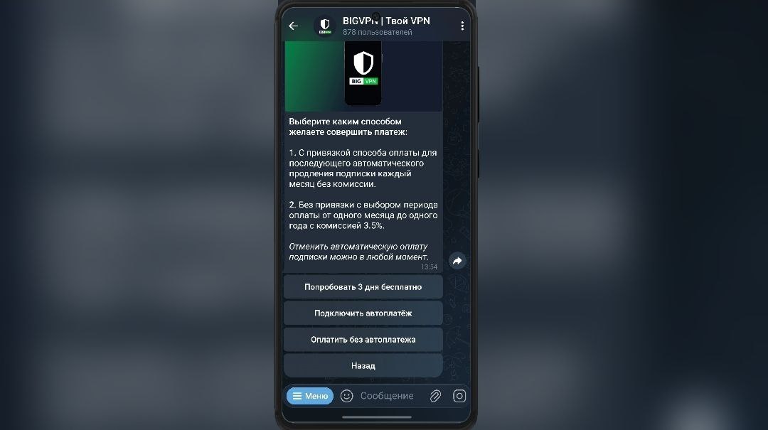 Бот BIGVPN
