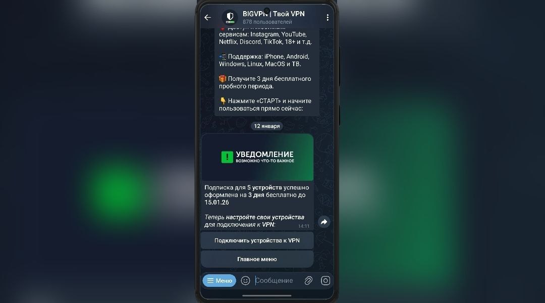 Бот BIGVPN