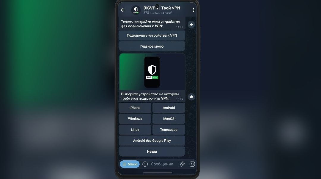 Бот BIGVPN